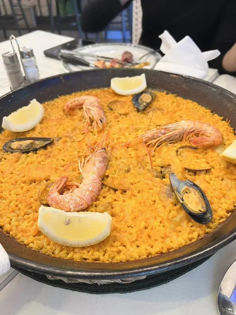 Kat CM_Ciudad De Tui_Elmen_recensione