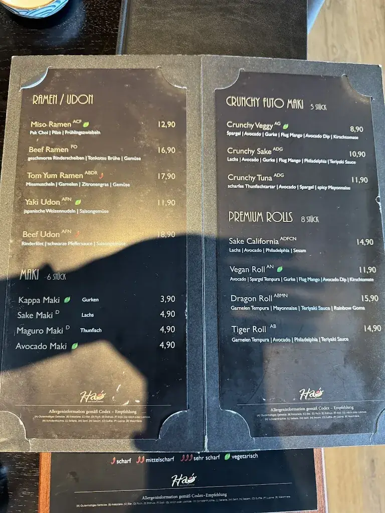 Menu_Hao Asia Fusion Kitchen_Endach_immagine_4