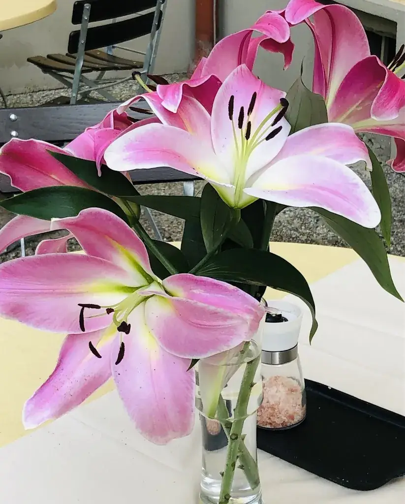 P. W._Restaurant Blattschuss_Annabichl_avis