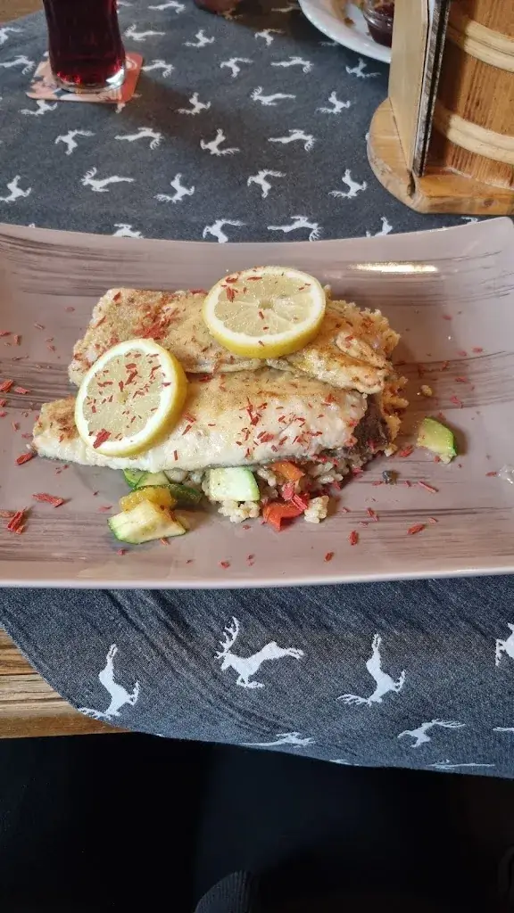 Ana Tarrisse_Gasthof Eiserne Hand_Fieberbrunn_recensione