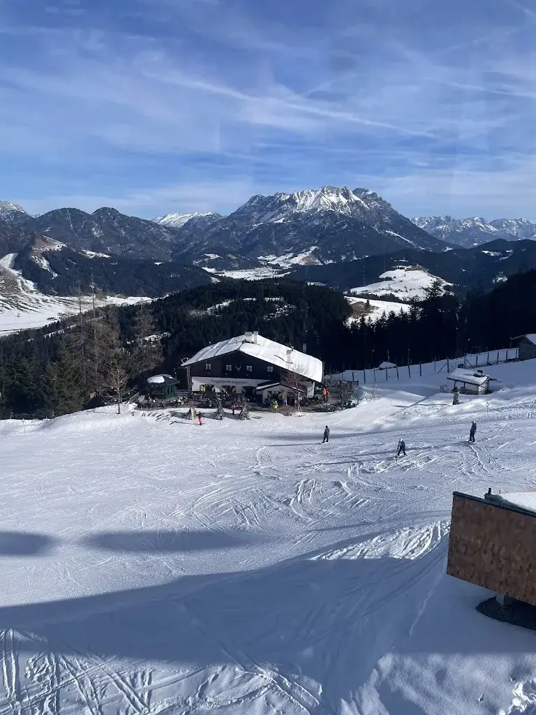 Peter_Hotel & Gasthaus Alpenstyle_Fieberbrunn_review