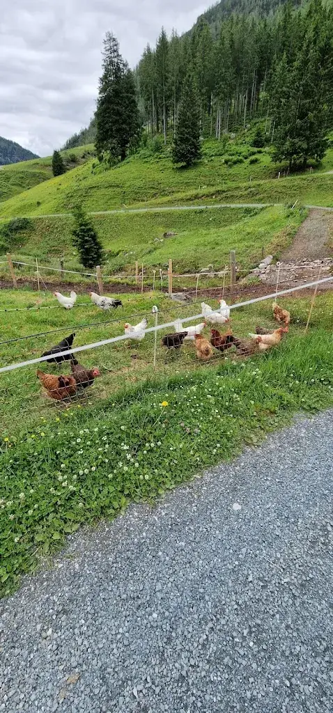 A. Wiemer_Grießenbodenalm_Fieberbrunn_avis