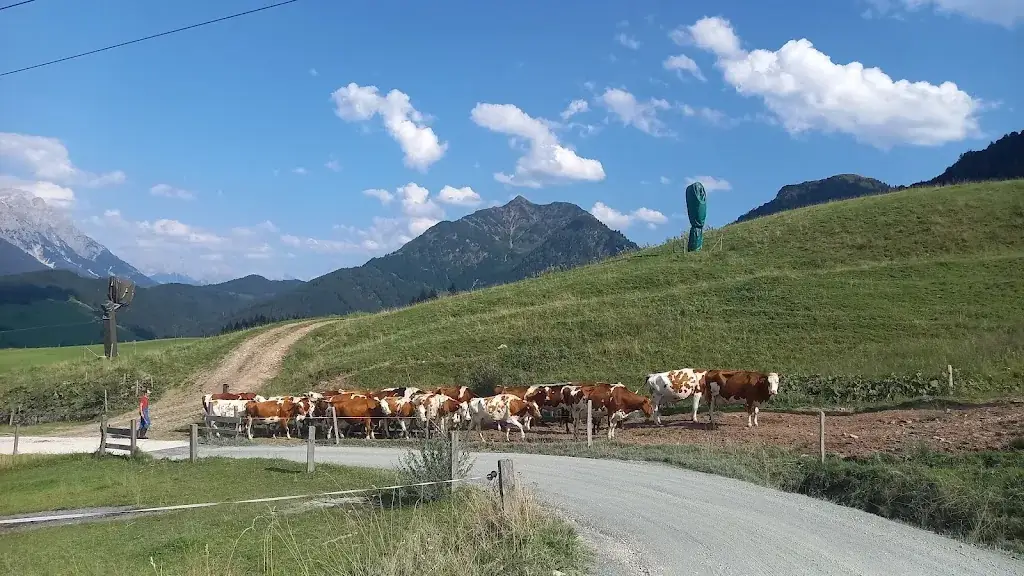 Grießenbodenalm ristorante a Fieberbrunn