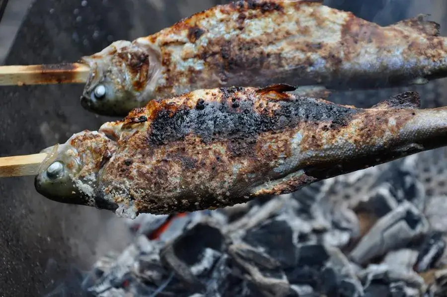 Forellenranch_Fieberbrunn_slider_image_3