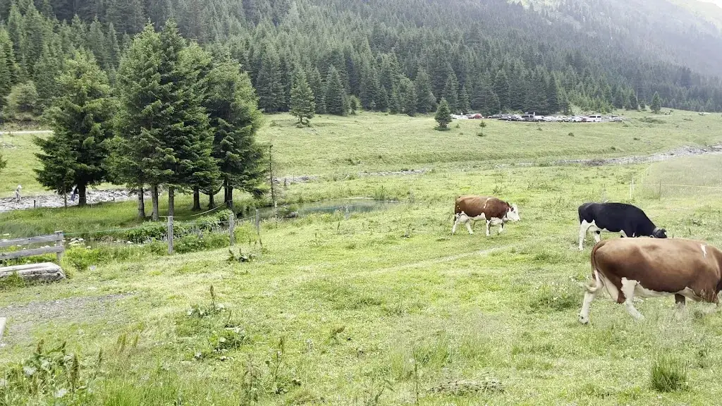 LSW_Menta Alm_Galtür_review