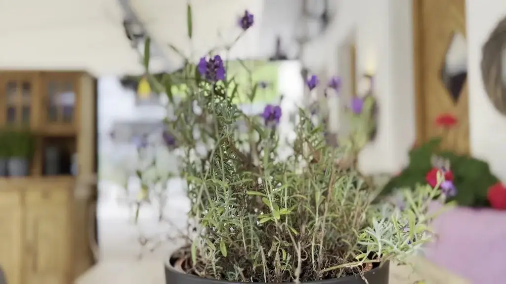 Restaurant Erbhofa_Gerlosberg_slider_image_2