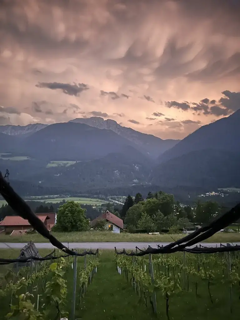 Max Rossmann_Buschenschenke Hupfa_Berg im Drautal_avis