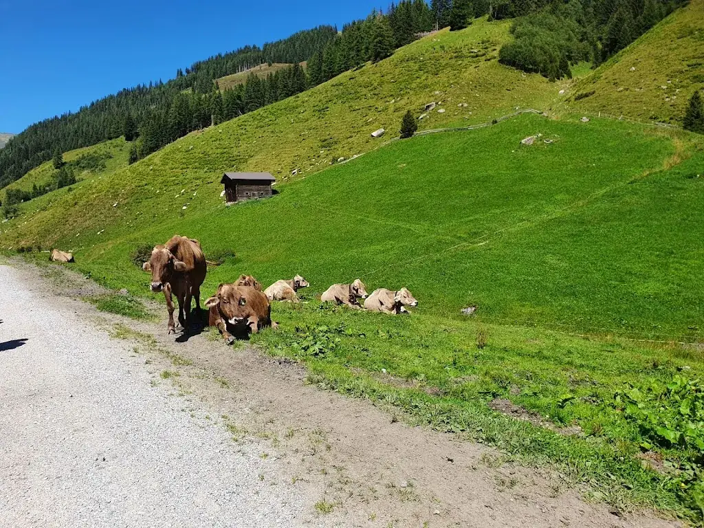 Balázs Moró_Jausenstation Wimmertalalm_Gerlos_review