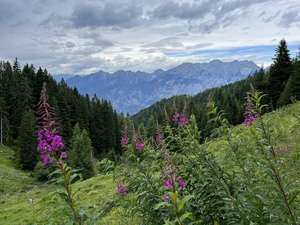 David Gutierrez_Götzner Alm_Götzens_review