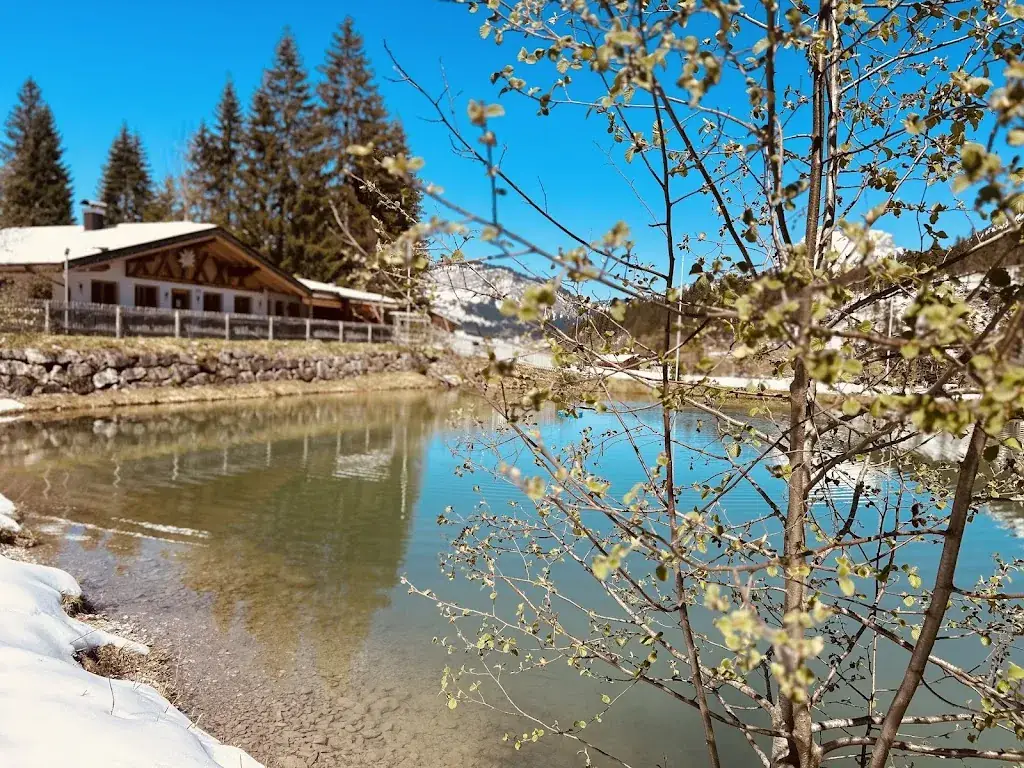 Tauscher's Alm_Grän_slider_image_3