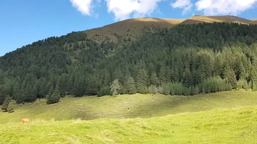 Kemater Alm_Grinzens_slider_image_2