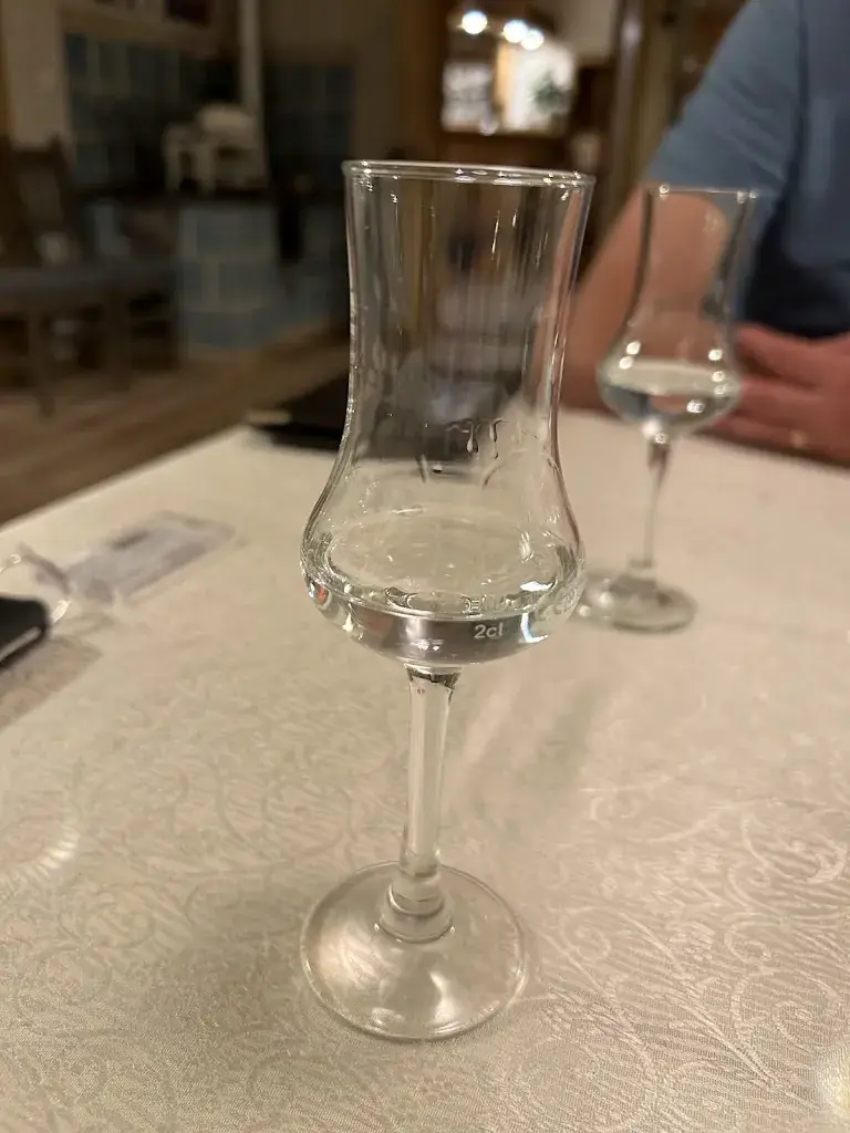 Mira M. Youssef_Sillianer Wirt_Heinfels_review