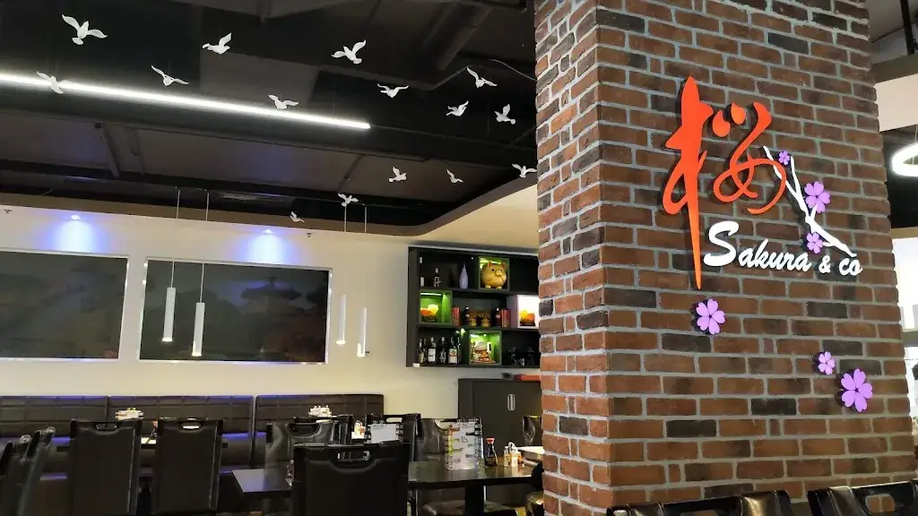 Jan Vlk_Sakura & Co._Imsterberg_review