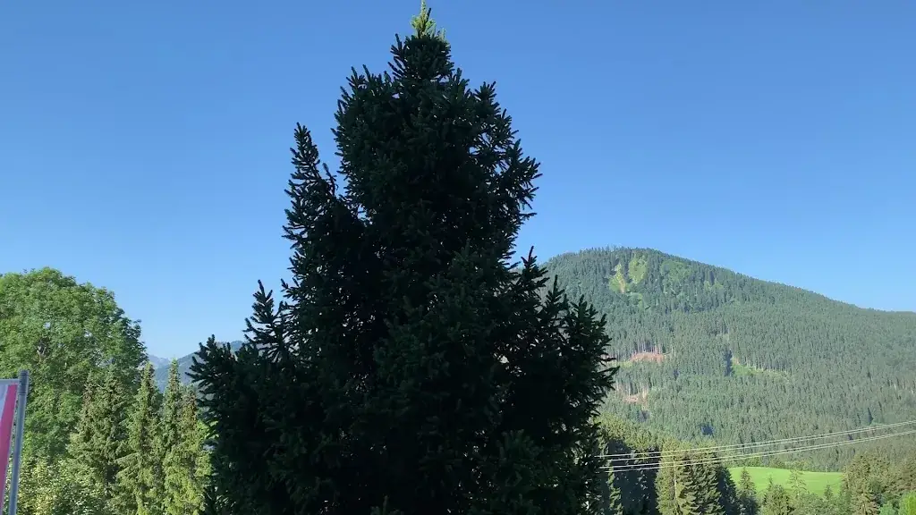 Berghotel Tirol_Jungholz_slider_image_2