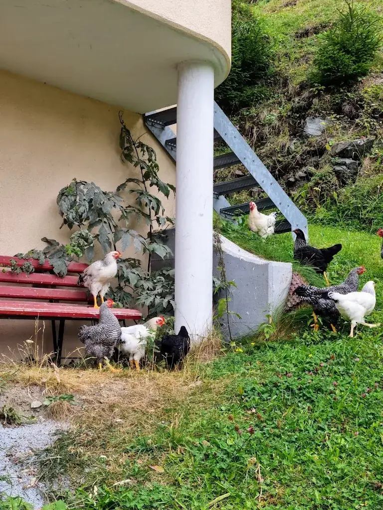 Gasthof Alpenfrieden ristorante a Kappl