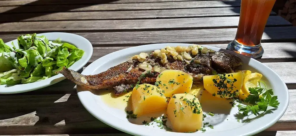 Alpengasthaus Fischbachalm_Kirchdorf in Tirol_slider_image_3