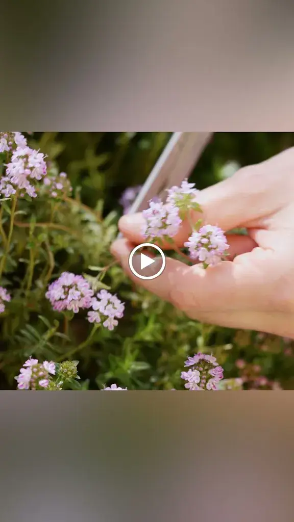 Restaurant Tiroler Hof_Kufstein_slider_image_2