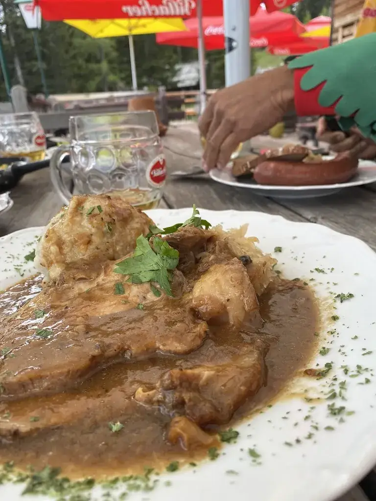 fabio palumbo_Aichingerhütte_Arnoldstein_avis