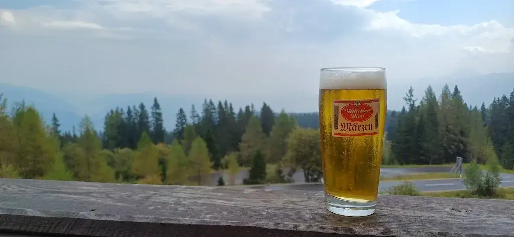 Mart_Aichingerhütte_Arnoldstein_avis