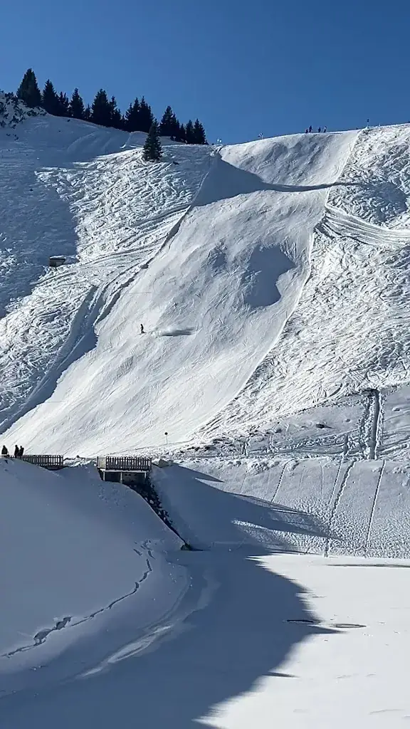 Carol Porto_Hotel Goldene Rose Reutte_Lechaschau_review