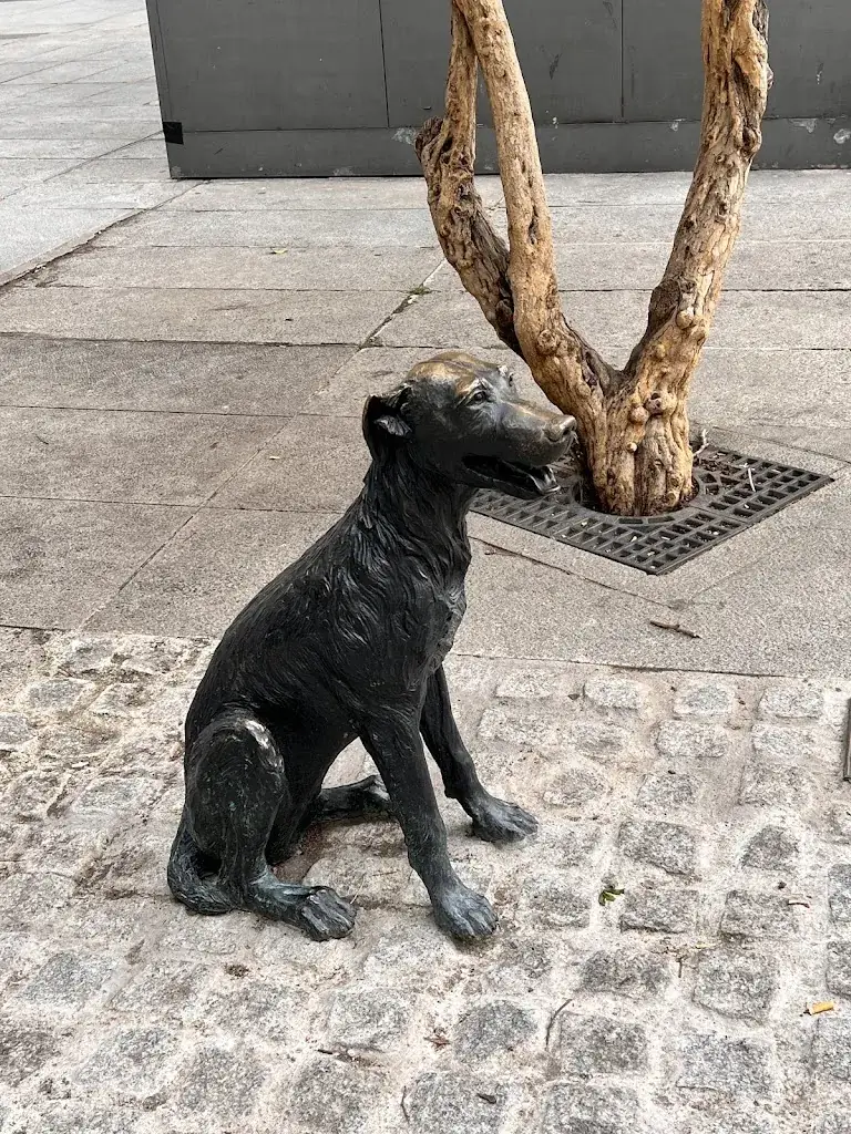 Anna Kostova_Perro Paco Restaurante_Lans_review