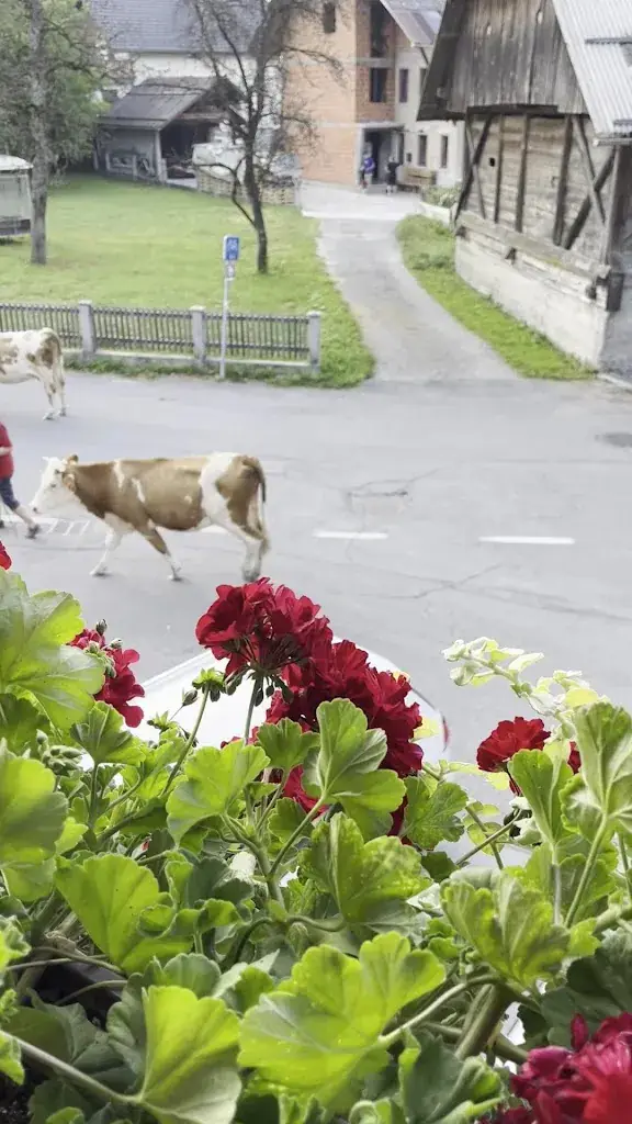 Marie Gill_Gostišče Vila Moj Mir_Arnoldstein_review