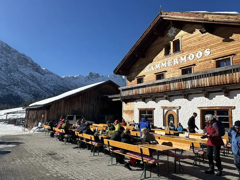 Shakey Jack_Hämmermoosalm_Leutasch_avis