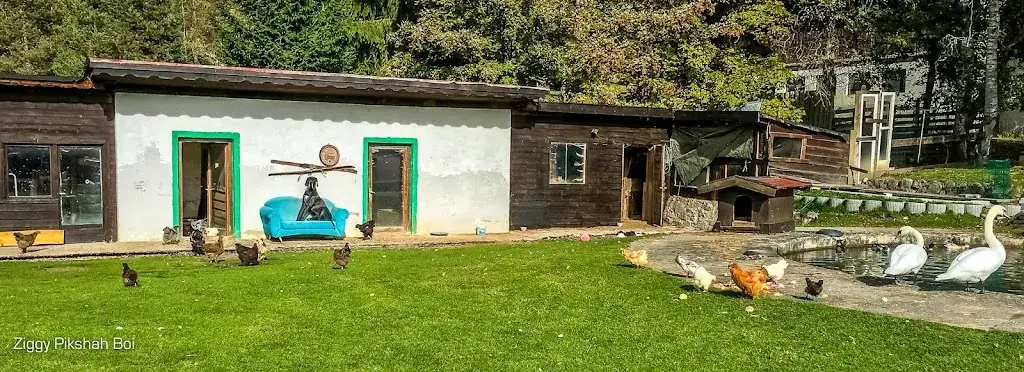 Andreas Raffel_Gasthof Neuleutasch_Leutasch_Bewertung