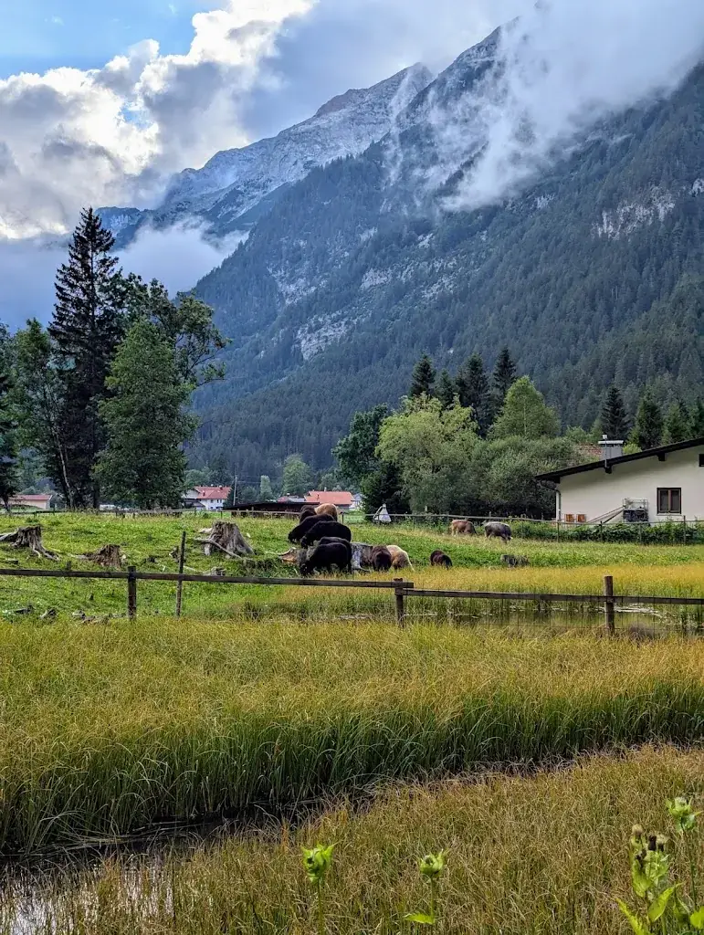 Gasthof Mühle_Leutasch_slider_image_3