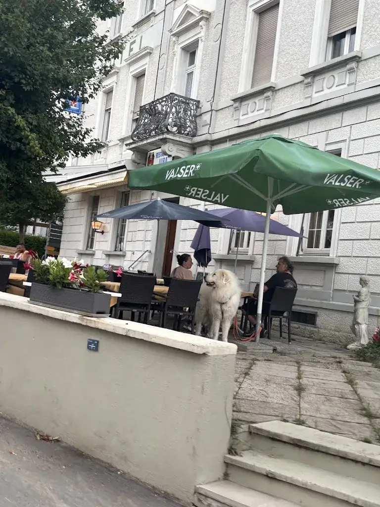 Pet Wash Basel_s'Jura – Restaurant Hotel Jura in Mariastein_Mariastein_review