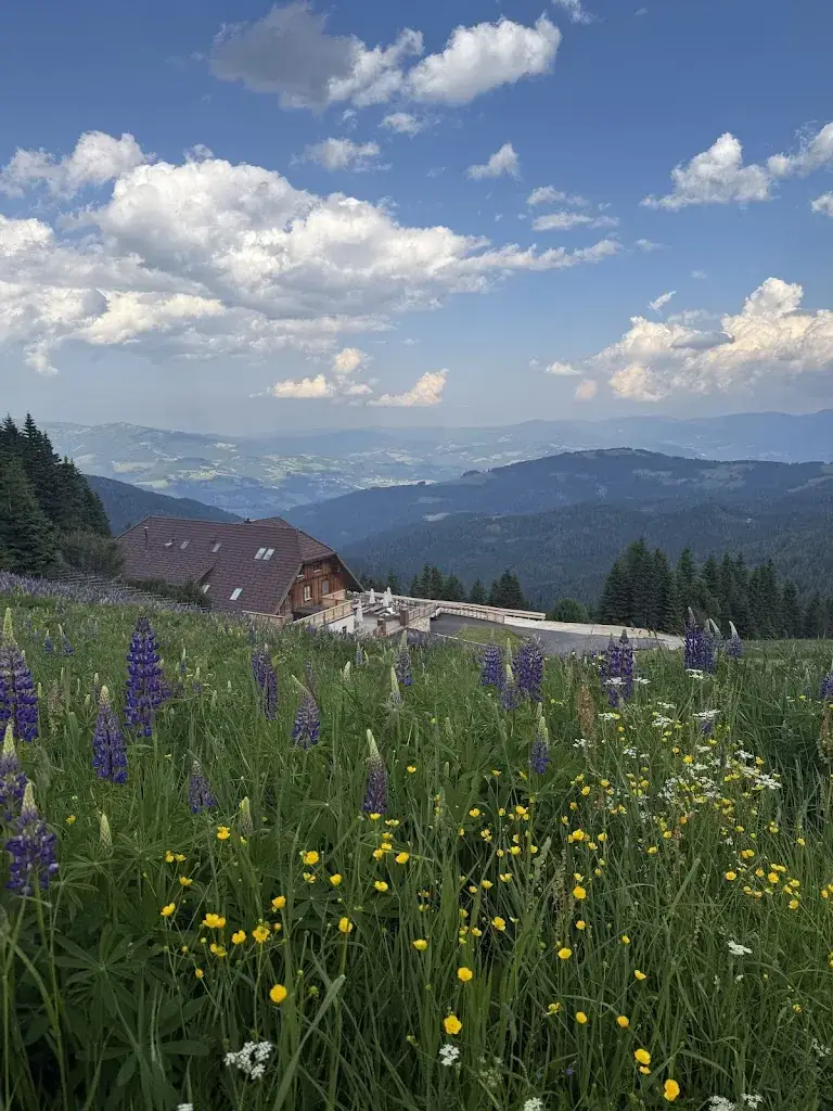 Hedda Salbu_MoselebauerAlm_Bad Sankt Leonhard im Lavanttal_avis