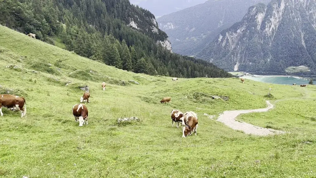 Brad Neske_Berggasthaus Dalfaz Alm_Maurach_recensione