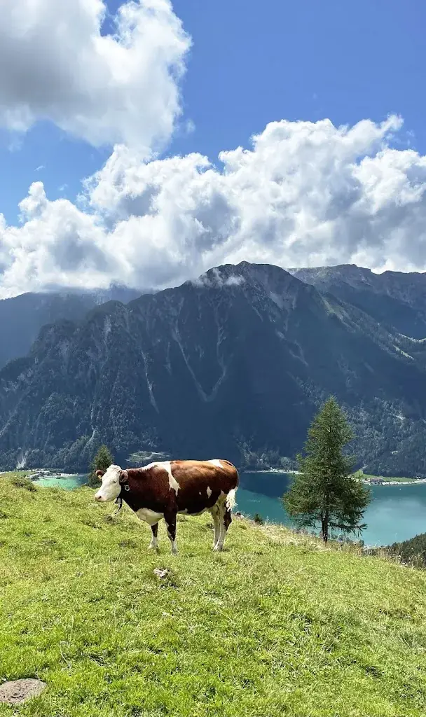 J R_Berggasthaus Dalfaz Alm_Maurach_recensione