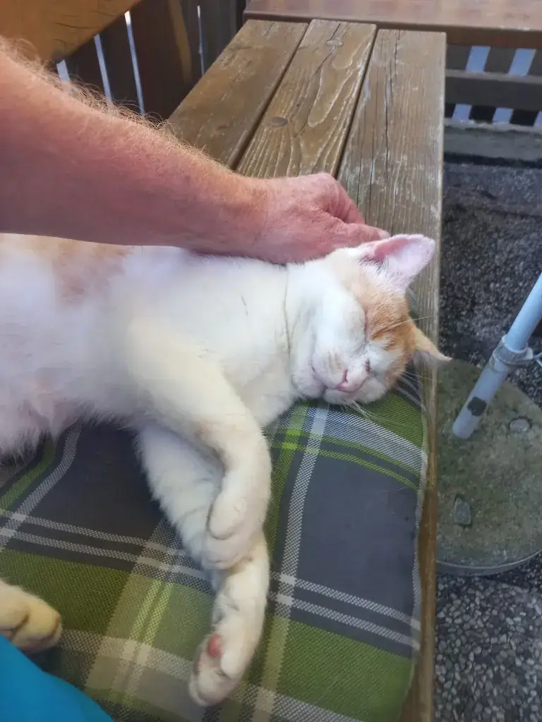 Manfred Stumptner_Gasthaus Weizmühle_Bad Sankt Leonhard im Lavanttal_avis