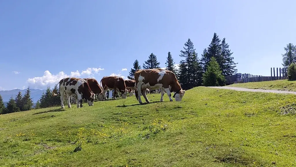 Jani Mäkinen_Restaurant Koppeneck_Mieders_recensione