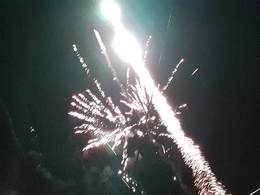 Taga Gabi_Panoramahotel - Restaurant Friesacherhof Lavanttal/Kärnten_Bad Sankt Leonhard im Lavanttal_recensione