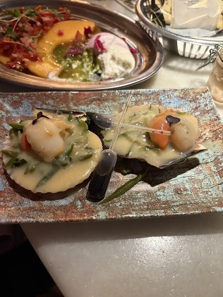 Zebulon Scoville_La Musa Malasaña_Musau_review