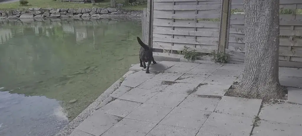 Restaurant Cafe Seebua_Nassereith_slider_image_2