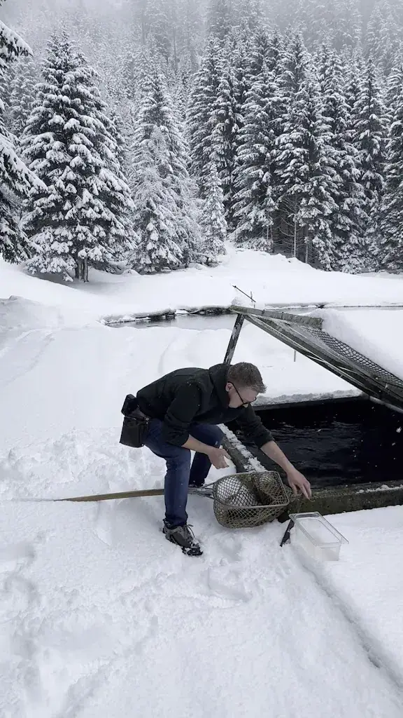 Johana Abiodun_Tschangelair Alm Stubaital_Neustift im Stubaital_review