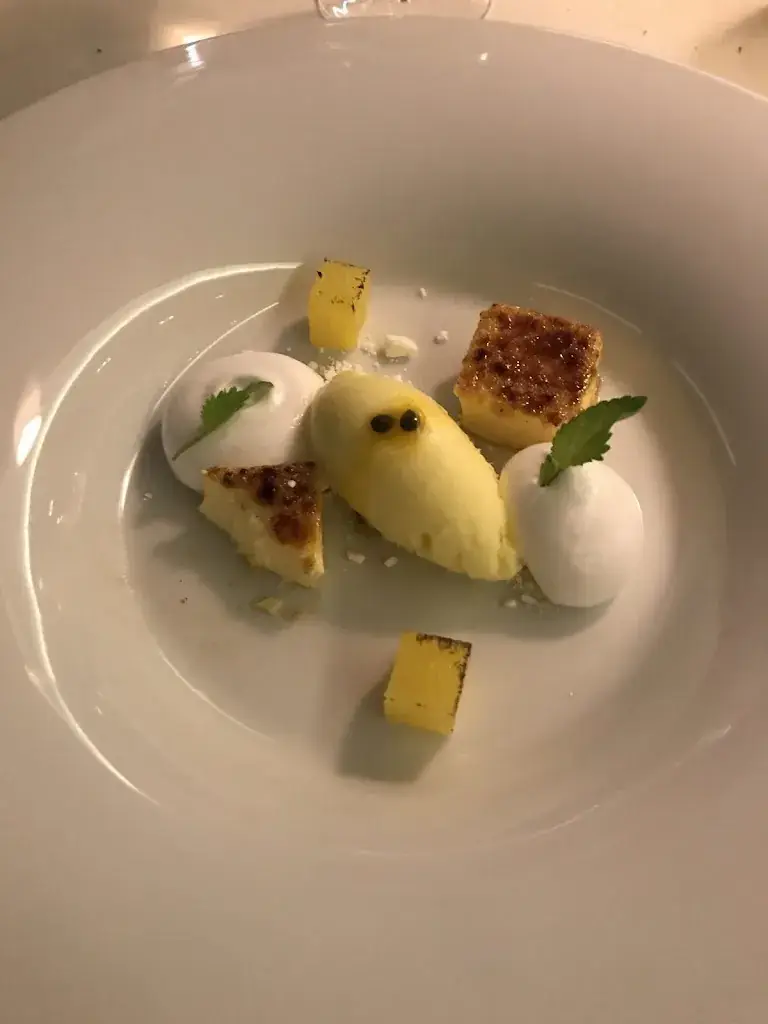 David Nellessen_Chesa Rössli_Münster_avis