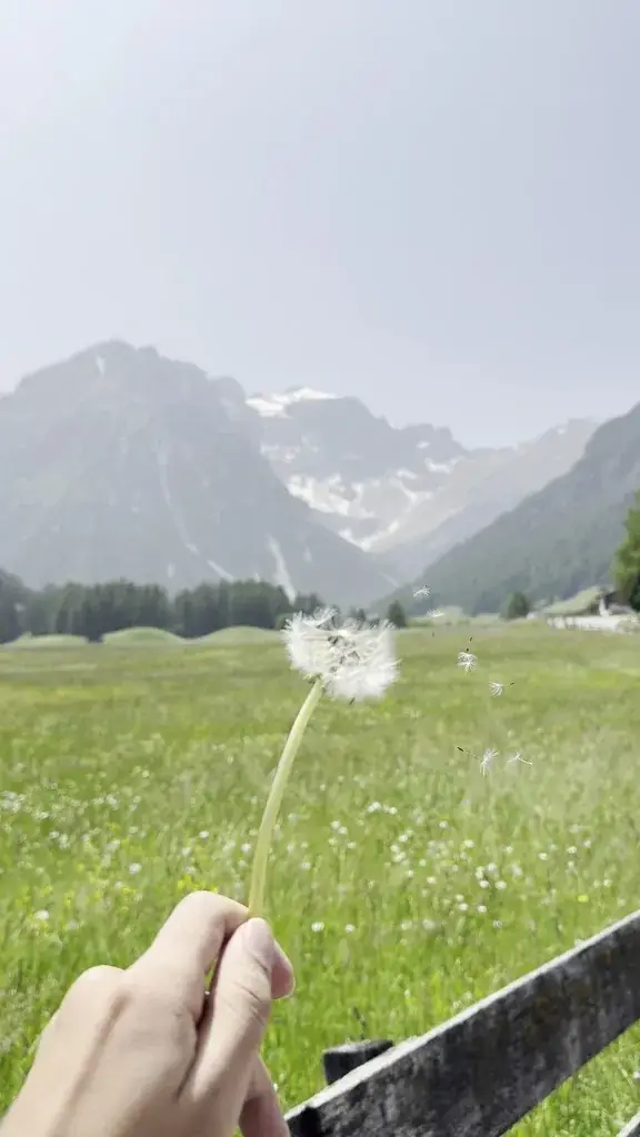 Ahmad Alhamad_Almi's Berghotel Wipptal, Tirol_Obernberg am Brenner_review