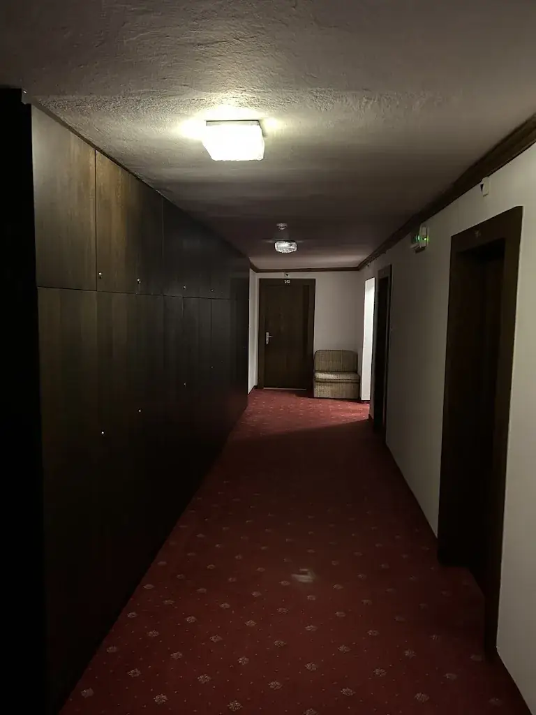 julio Javier frank_Das Mooswald_Obsteig_avis