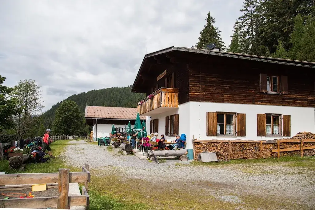 Teresa Sifuentes_Nessleralm 1610m_Pettneu_avis