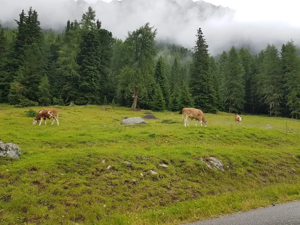 Patrick_Kuhtaile Alm_Oetz_review