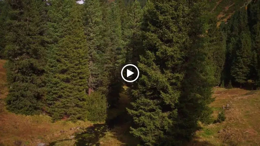 Posthotel Kassl_Oetz_slider_image_2