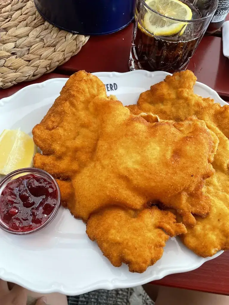 Vaino Valtonen_Hutschpferd Palais_Politischer Bezirk Kitzbühel_avis