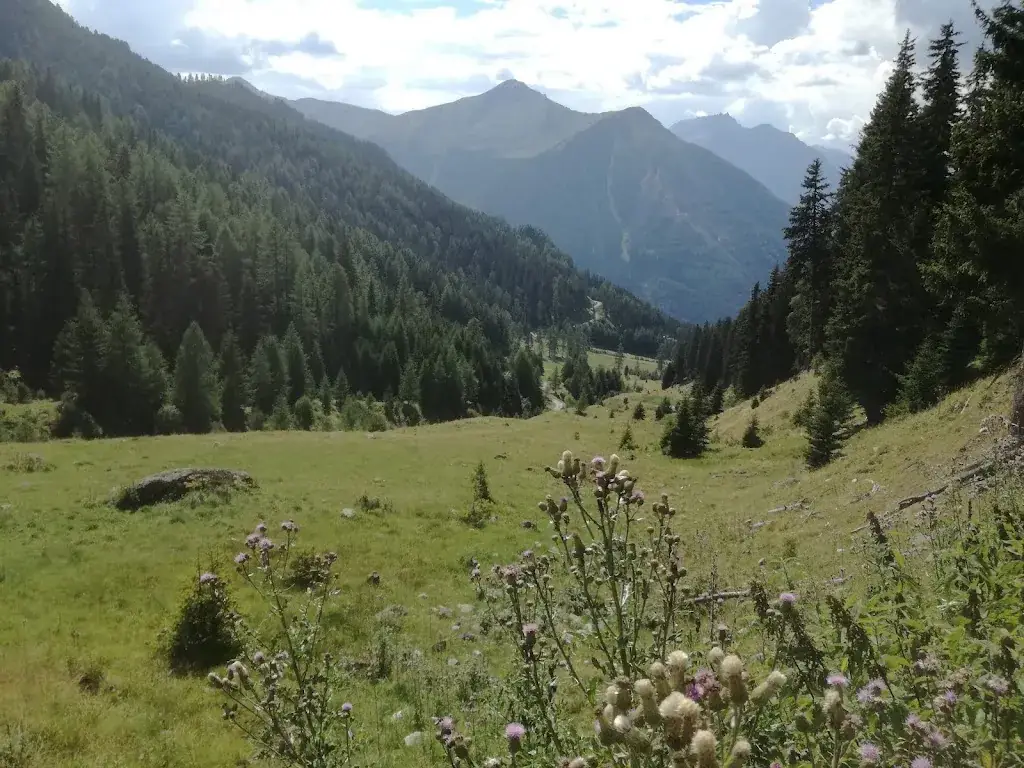 Gschneireralm_Pfunds_slider_image_3