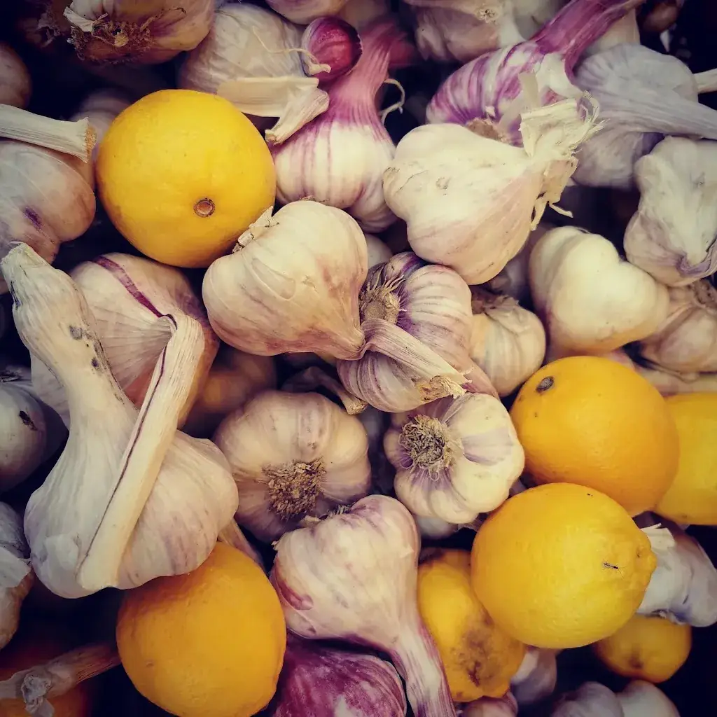 Menu_Jungbräu_Pfaffenhofen_image_4