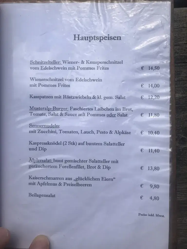 Aleksey Parfenov_MusterAlpe Plansee_Reutte_avis