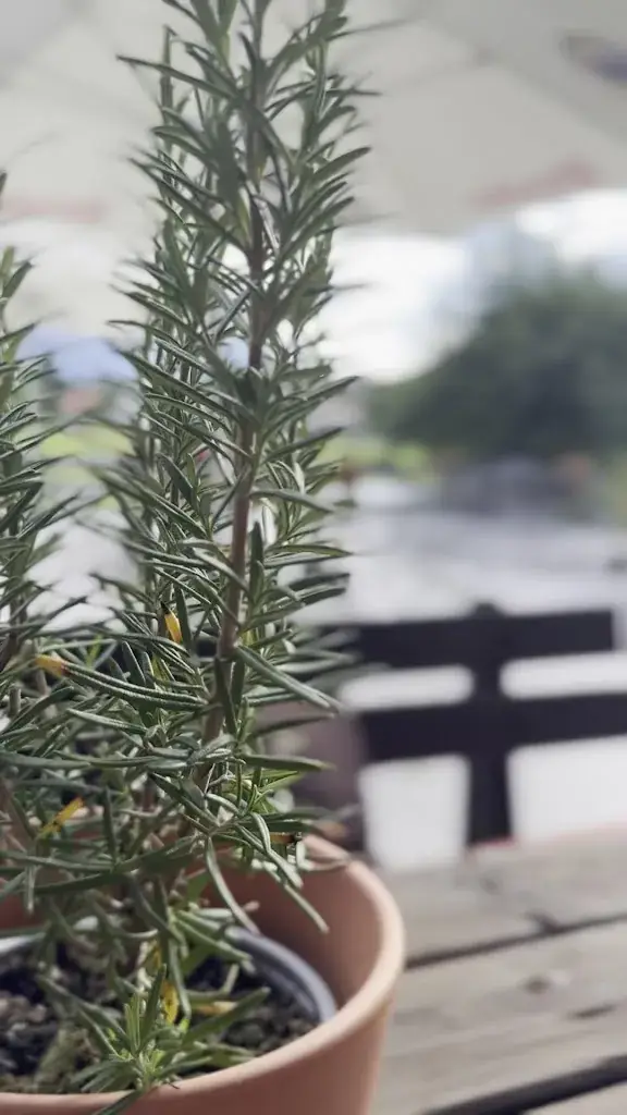 Kracherlemoos Seefeld_Reith bei Seefeld_slider_image_2